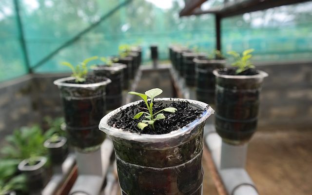 indoor agriculture