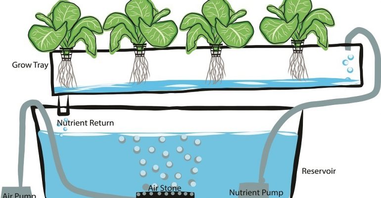 Hydroponics